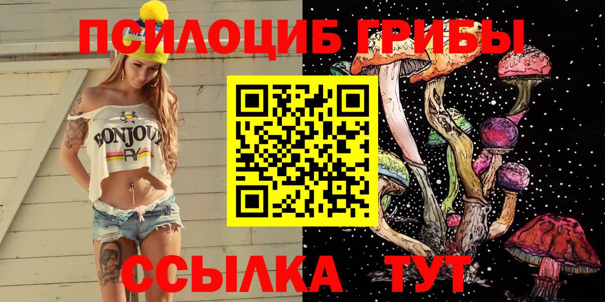 Псилоцибиновые грибы Cubensis Новокубанск