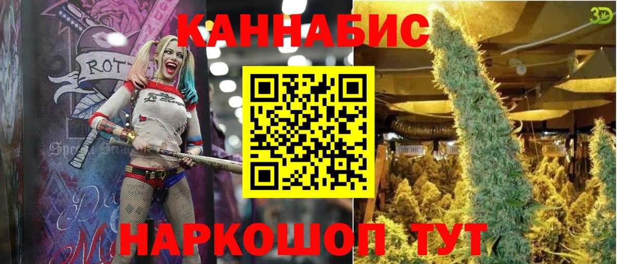 МАРИХУАНА семена Новокубанск